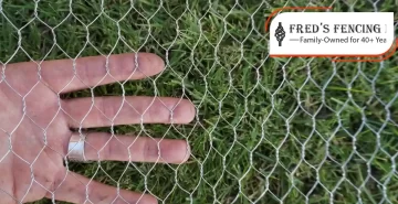 Gopher Proof Fencing In San Diego